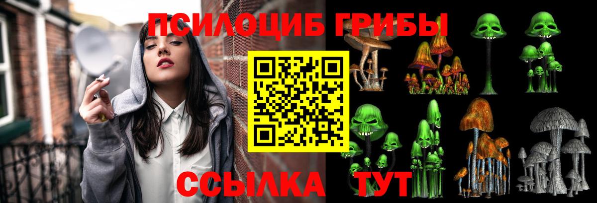 Находка  Галлюциногенные грибы ЛСД  Вход с VPN 